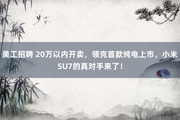 美工招聘 20万以内开卖，领克首款纯电上市，小米SU7的真对手来了！